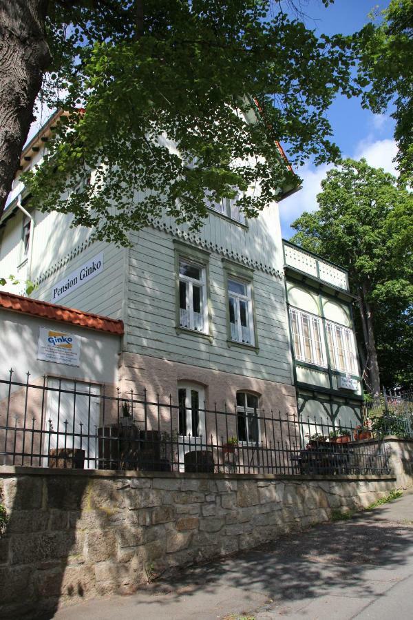 Pension Ginko Wernigerode Exteriér fotografie