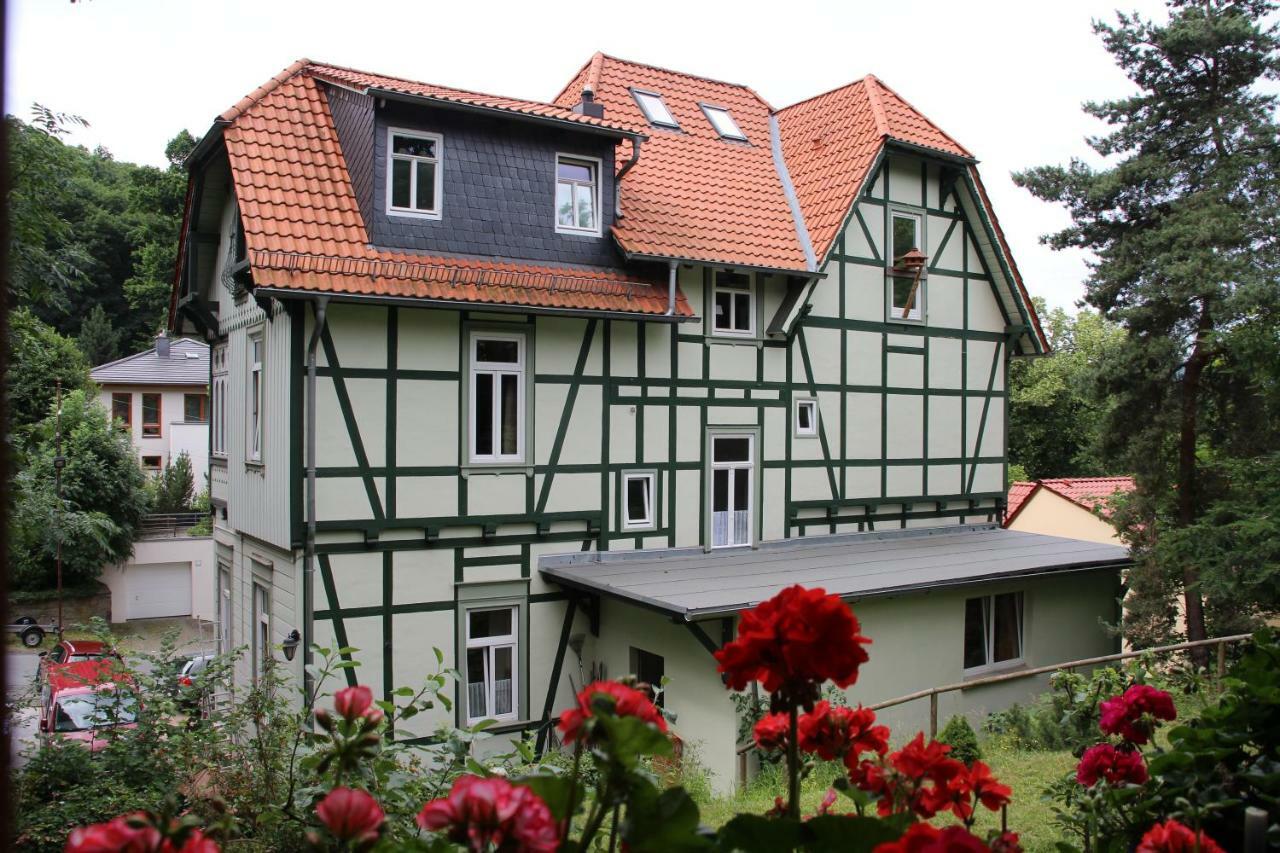 Pension Ginko Wernigerode Exteriér fotografie